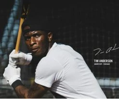 Victus Tim Anderson TA7 Birch Pro Reserve -Baseball Fantastic Store TA7 0