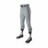 Evoshield Salute Men’s Knicker Baseball Pants – Grey 2 Evoshield Salute Men’s Knicker Baseball Pants – Grey -Baseball Fantastic Store products wb6000502 1