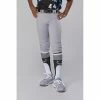 Evoshield Salute Youth Knicker Baseball Pants – Grey